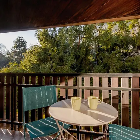Lachenal - Centre - Navette De - Balcon アパート シャモニー